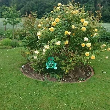 Am Ith * Coppenbrugge