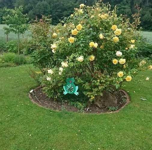 Am Ith * Coppenbrügge